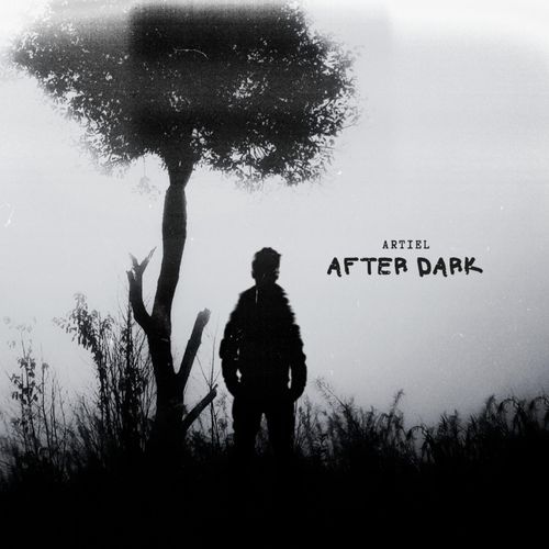 After Dark (Instrumental) cover art