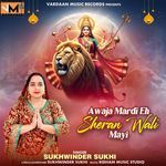 Awaja Mardi Eh Sheran Wali Mayi