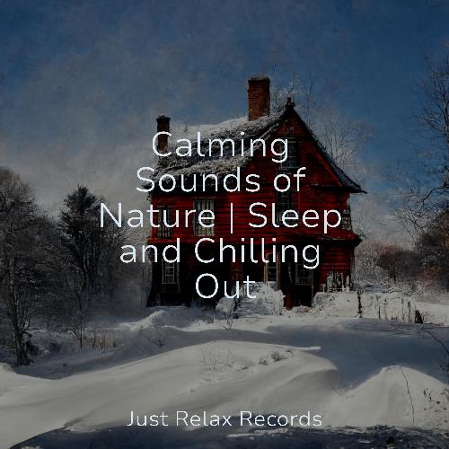 Calming Sounds of Nature | Sleep and Chilling Out