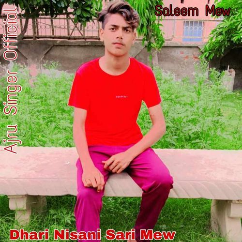 Dhari Nisani Sari Mew