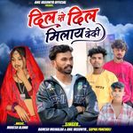 Dil Se Dil Milay Dedi