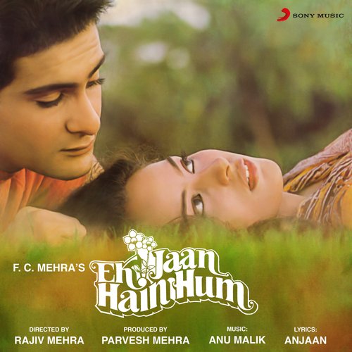 Ek Jaan Hain Hum (Original Motion Picture Soundtrack)