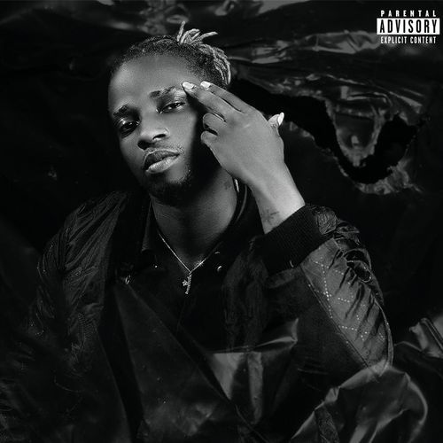 For Dis Naija cover art