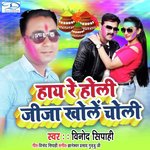 Hay Re Holi Jija Khole Choli (Hay Re Holi)