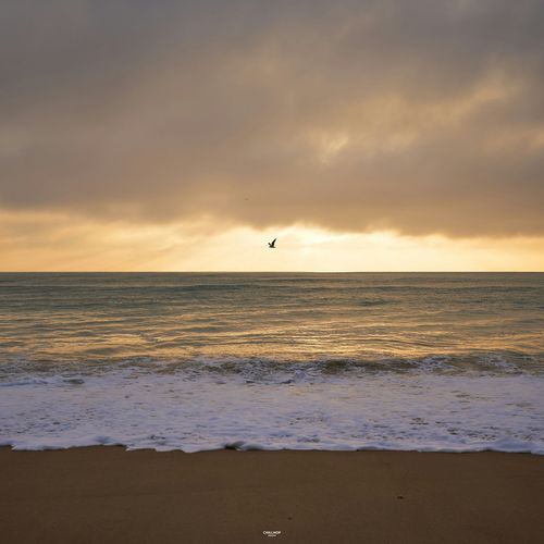 Lost Touch cover art