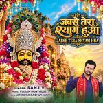 Jabse Tera Shyam Hua