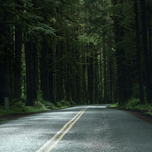 愛しているのか