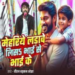 Mehariye Ladave Lisa Bhai Se Bhai Ke