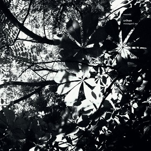 Fata ciresarului cover art