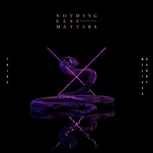 Nothing Else Matters