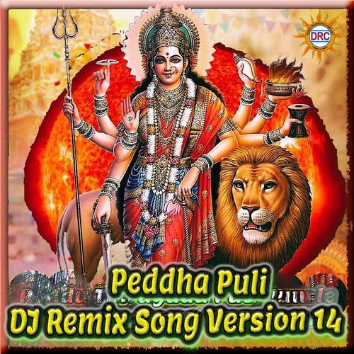 Peddha Puli (DJ Remix Song Version 14)