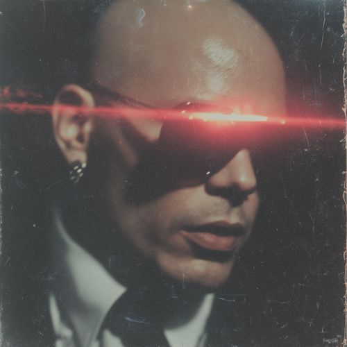 Pitbull Terrier (Slowed & Reverb)