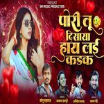 Pori Tu Disaya Hay Lai Kadak