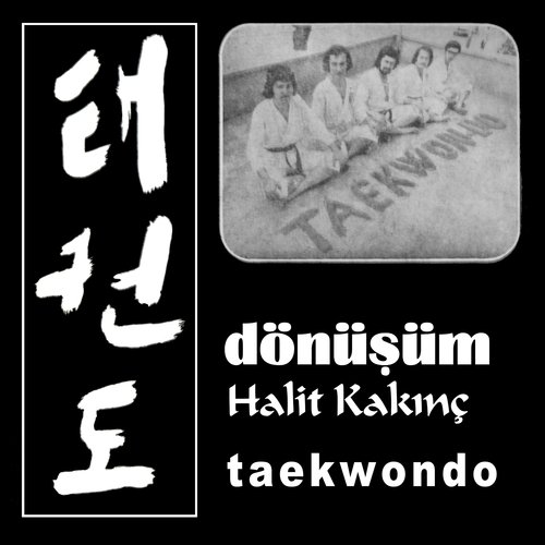 Taekwondo_poster_image