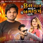 Te Dil Todyu Maru Me Shu Bagadyu Taru