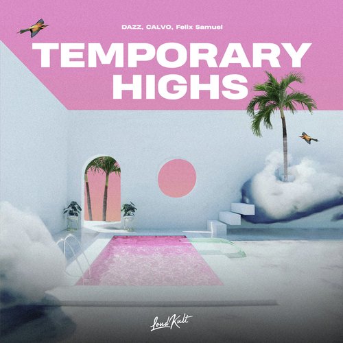 Temporary Highs_poster_image