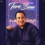 Tere Bina (Slowed &amp; Reverb) (Slowed &amp; Reverb)