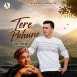 Tere Pahune