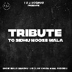 Tribute To Sidhu Moose wala