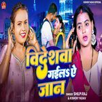 Videshwa Gaila A Jan