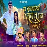 Ya Saglyamadhi Janu Tu Ekach Number artwork