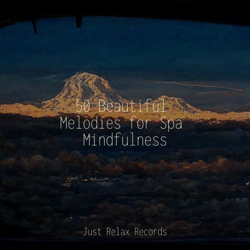 50 Beautiful Melodies for Spa Mindfulness