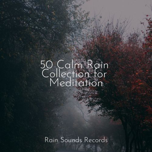 Raindrops Dance on Glass cover art