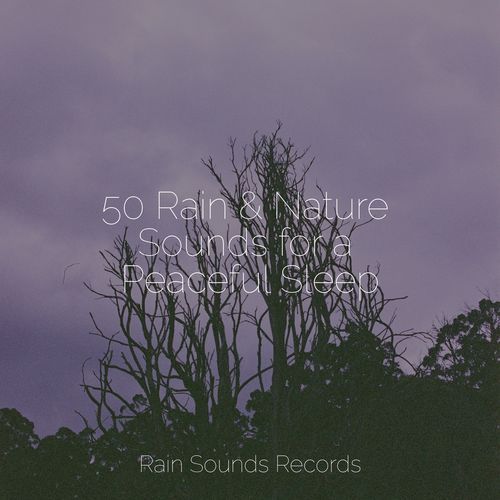 50 Rain & Nature Sounds for a Peaceful Sleep