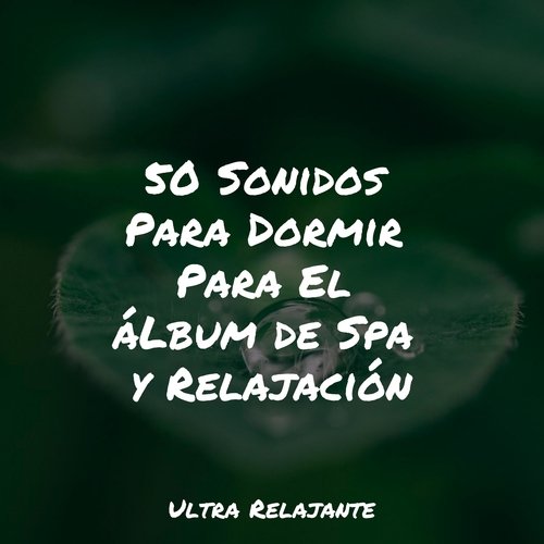 Relajación Radiante cover art
