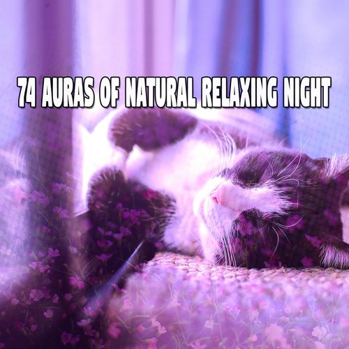 74 Auras Of Natural Relaxing Night