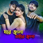 ঘরে জ্বালা বাইরে জ্বালা।