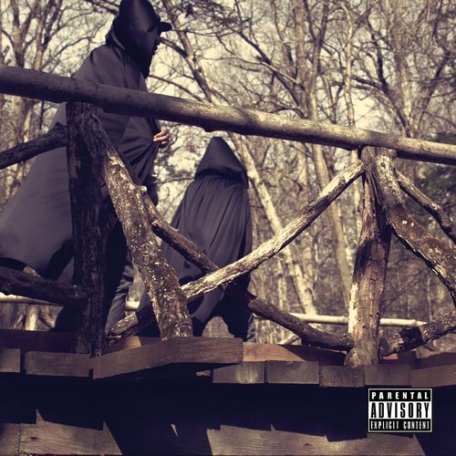 Prolapse cover art