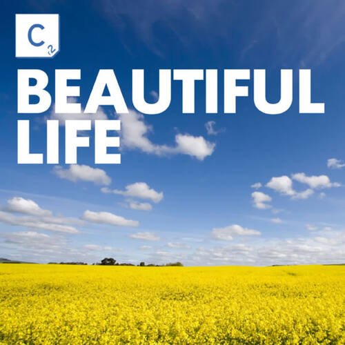 Beautiful Life_poster_image