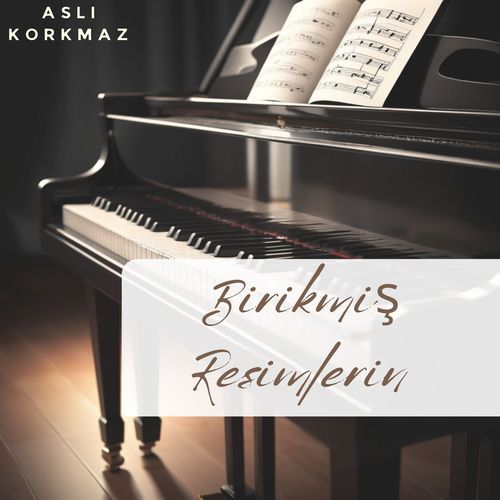 Hikmet cover art