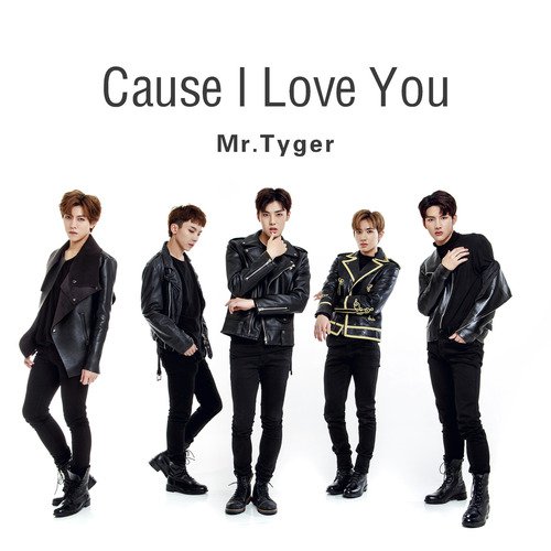 Cause I Love You_poster_image