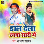 Dal Dela Rangwa Saree Me