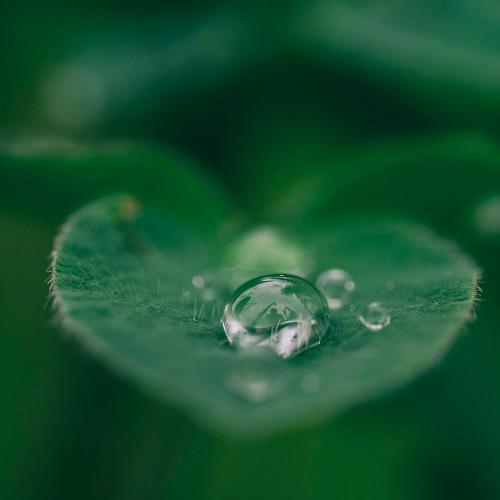 Lovely Drops cover art