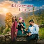 Dil Deewana Tera