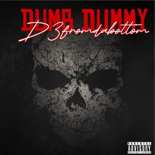 Dumb Dummy cover art