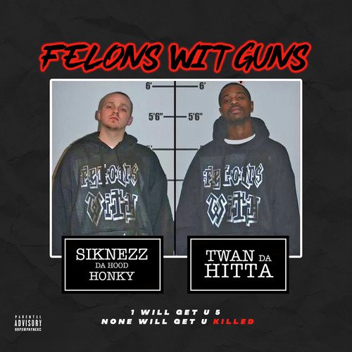 Felons with Guns ( 1 Will Get U 5 None Will Get U Killed )