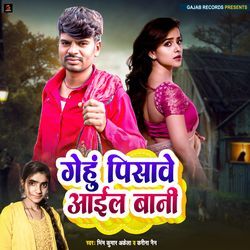 Gehu Pisawe Aail Bani