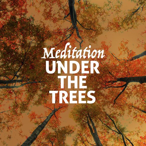 Meditation Under the Trees