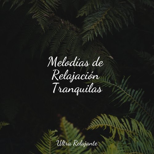 Melodías de Relajación Tranquilas_poster_image