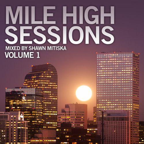 Please Don't Go (Shawn Mitiska Remix) cover art