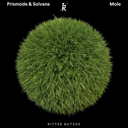 Mole (Niconé Remix) cover art