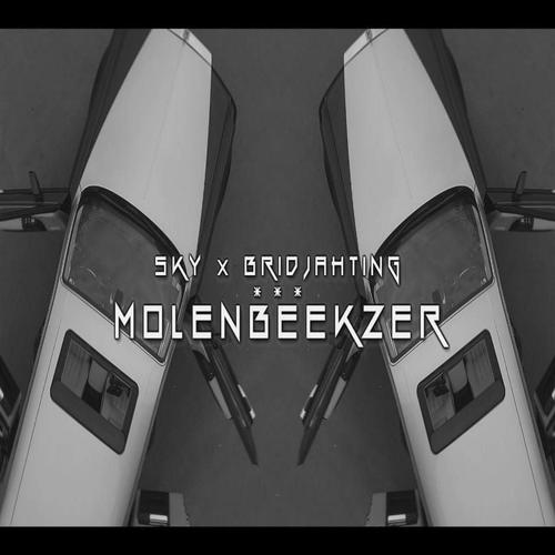 Molenbeekzer