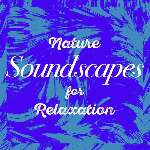 Nature Soundscapes for Relaxation_poster_image