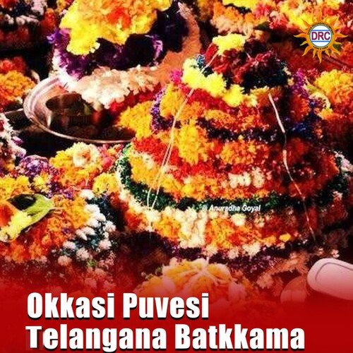 Okkasi Puvesi Telangana Batkkama