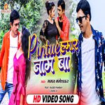 Pintu Hamar Name Ba (bhojpuri Song)