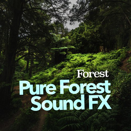 Pure Forest Sound FX